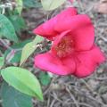 r0027916r.jpg