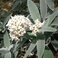 r0027997r.jpg