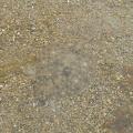 r0028176r.jpg