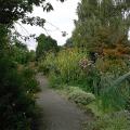 r0028355r.jpg