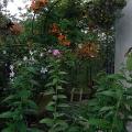 r0028448r.jpg