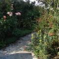 r0028476r.jpg