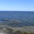 r0028700r.jpg