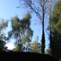 r0028707.jpg