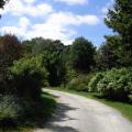 r0028767r.jpg