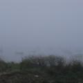 r0028949r.jpg