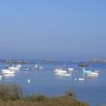 r0028955r.jpg