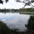 r0029159r.jpg