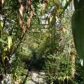 r0029263r.jpg