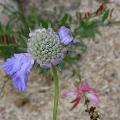 r0029278r.jpg