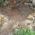 r0029515r.jpg
