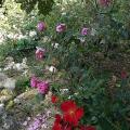 r0029551r.jpg