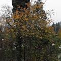 r0030557r.jpg