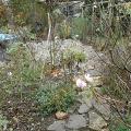 r0030559r.jpg
