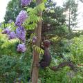 p1000105r.jpg