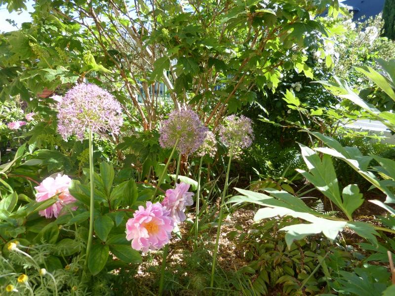 p1000799r.jpg