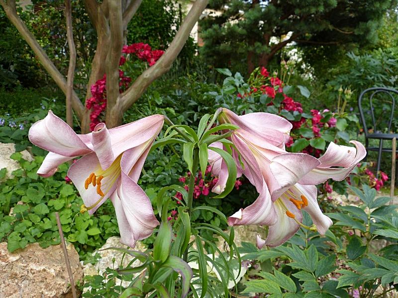 p1020358r.jpg