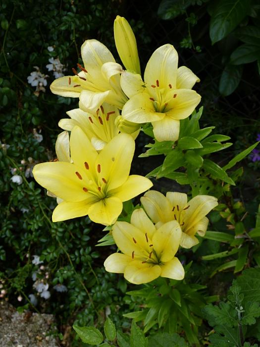 p1020495r.jpg