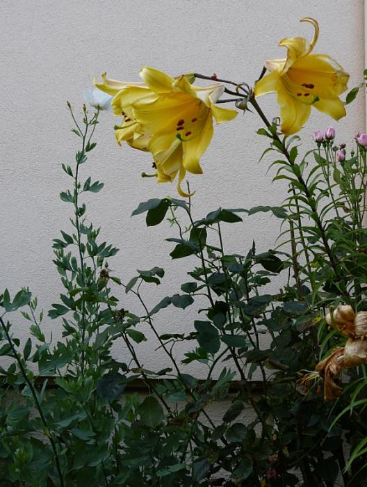 p1020527r.jpg
