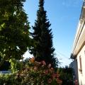 p1030010r.jpg
