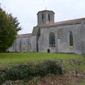 p1040143echebrune.jpg