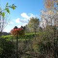 p1040560r.jpg