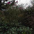 r0030775r.jpg