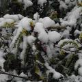 r0030898r.jpg