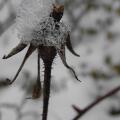 r0030964r.jpg