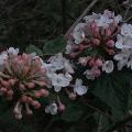 r0031487r.jpg