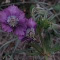 r0031517r.jpg
