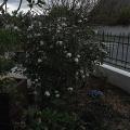 r0031636r.jpg