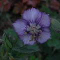r0031823r.jpg