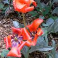 r0032104r.jpg