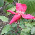r0032368r.jpg