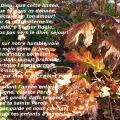 p1040614rr.jpg