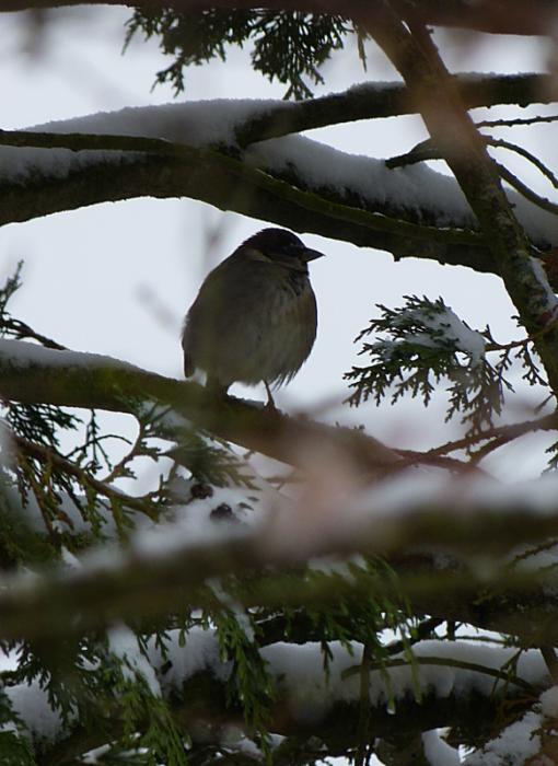 p1040837r.jpg