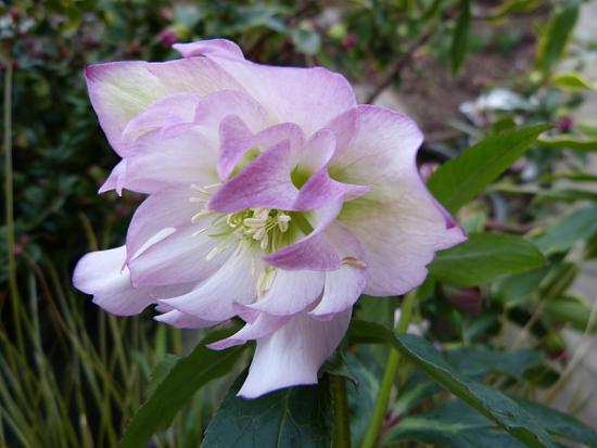 p1050002.jpg