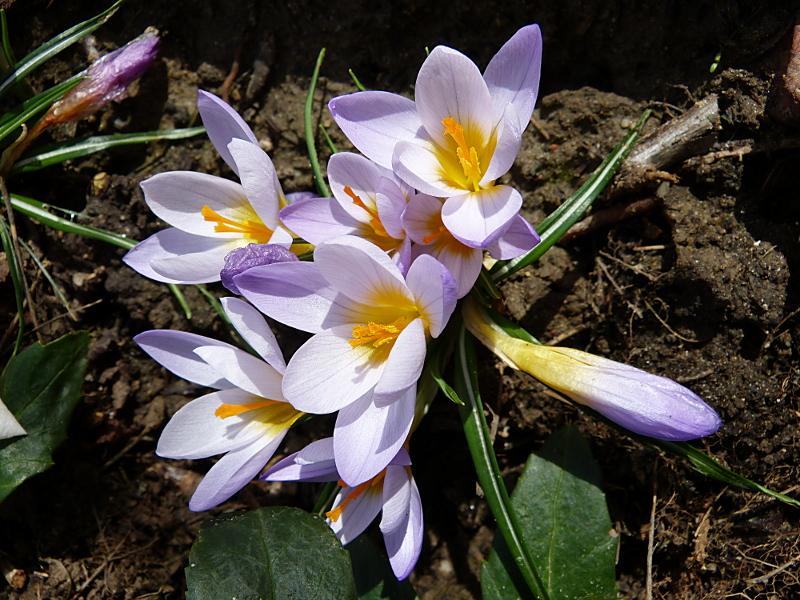 p1050109.jpg
