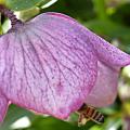 p1050124r.jpg