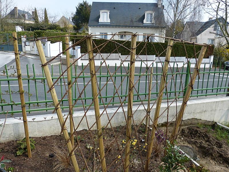 p1050223.jpg