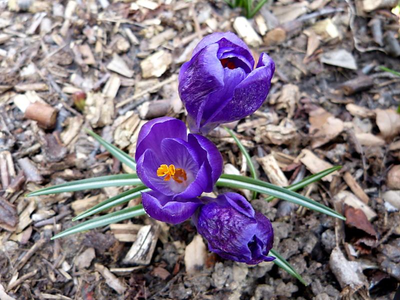 p1050226.jpg