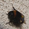 p1060004.jpg