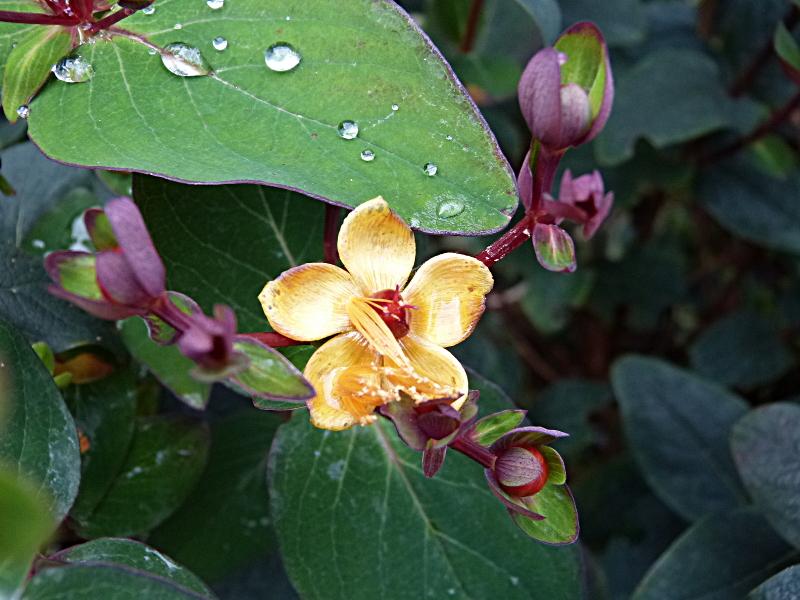 p1090726.jpg