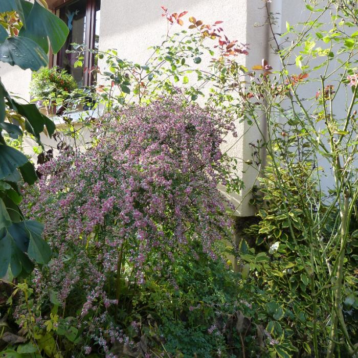 p1090900.jpg