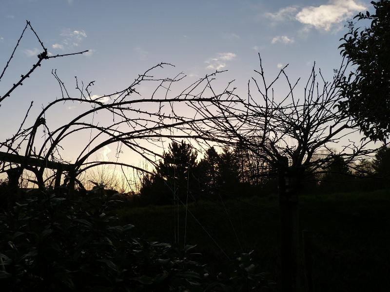 p1100710.jpg