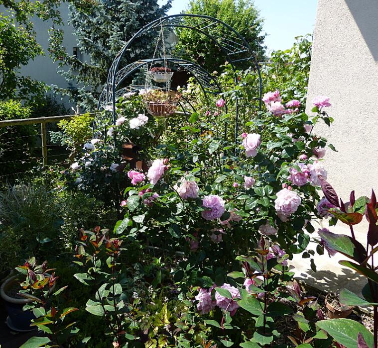 p1120187.jpg