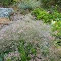 p1150400.jpg