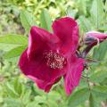 p1150551.jpg