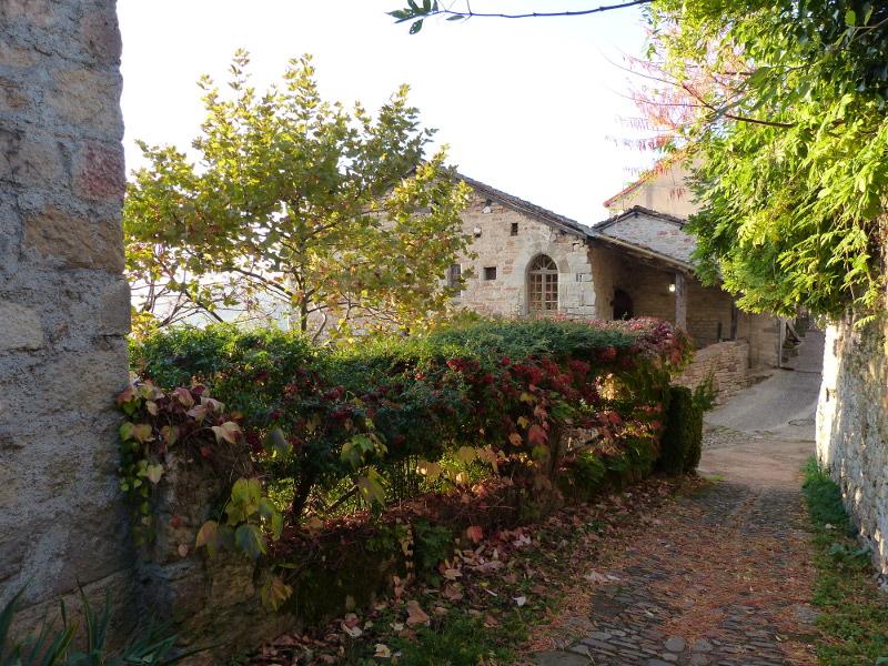p1160130.jpg